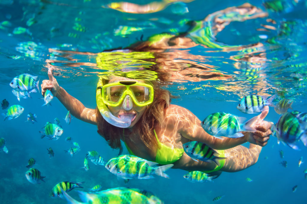 Snorkeling with a school of coral fish