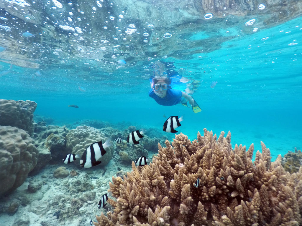 Snorkelling off Rarotonga, The Cook Islands