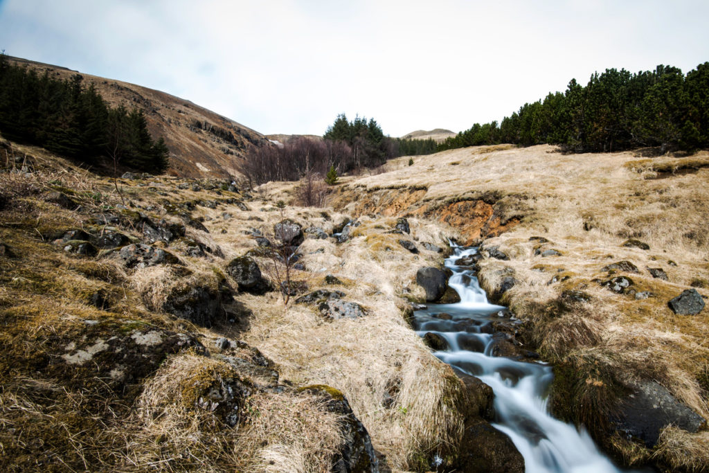 A stream flowing down Mount Esja