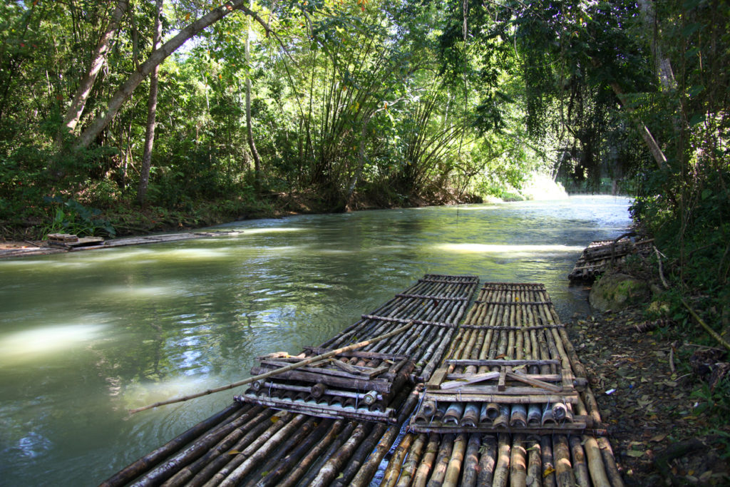 Bamboo rafts ready for a trip down the Martha Brae river