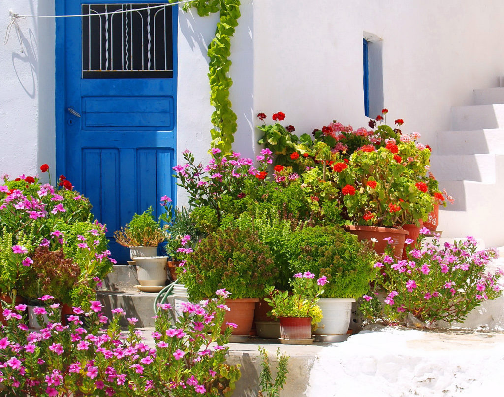 Colorful flowers outside door entrance