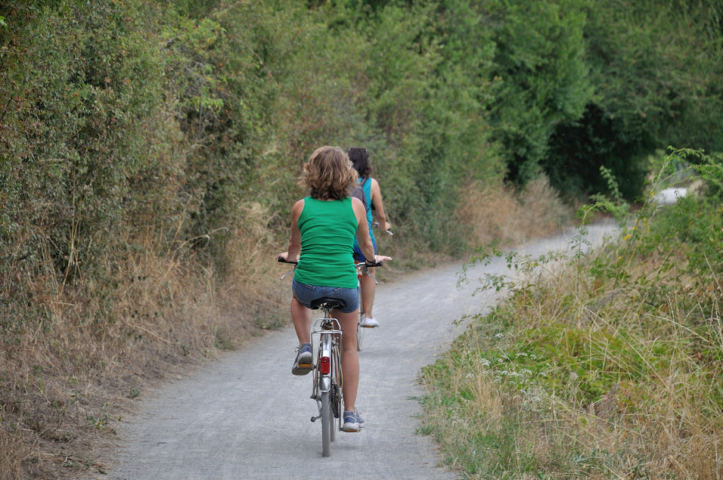 Cycling in Loire Valley