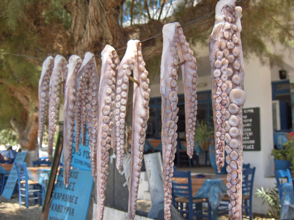 Fresh octopus on Sifnos Island