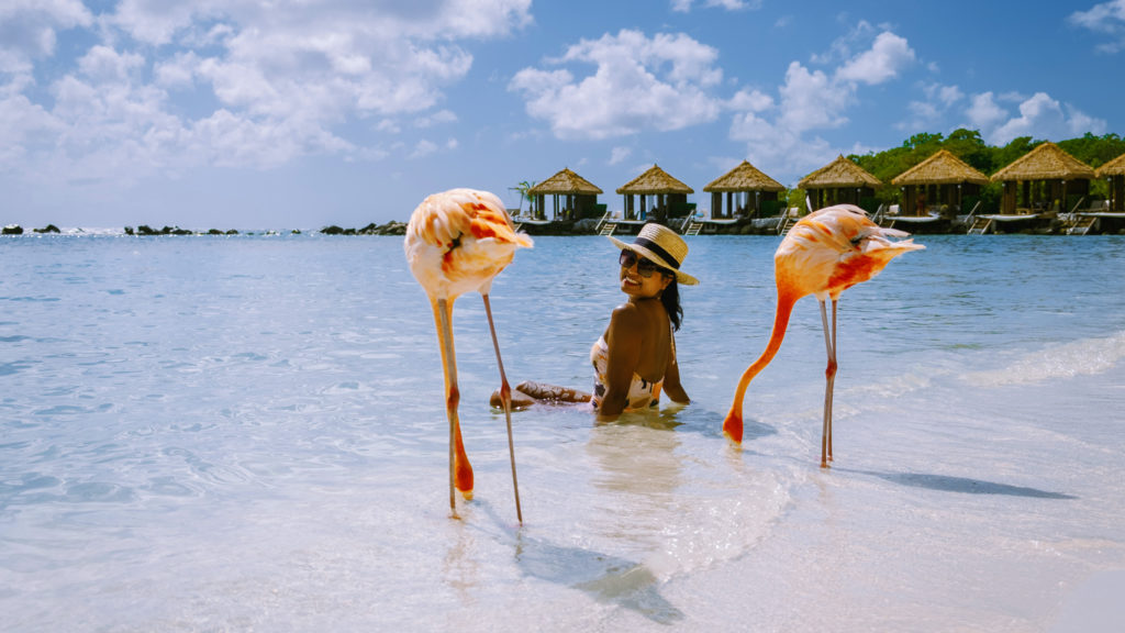 Lady in Aruba with pink flamingos
