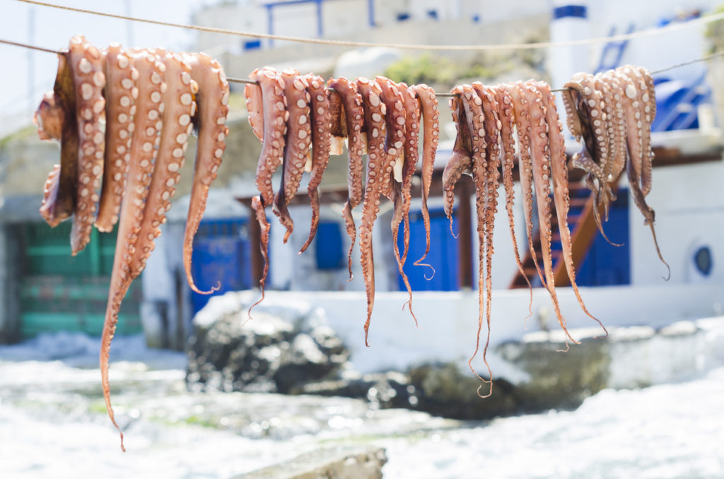 Octopus out to ry on Milos island