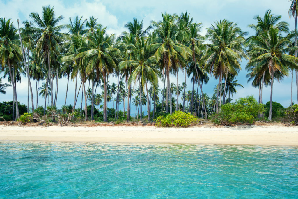 One of the many tropical beaches lines with coconut palms in Koh Samui