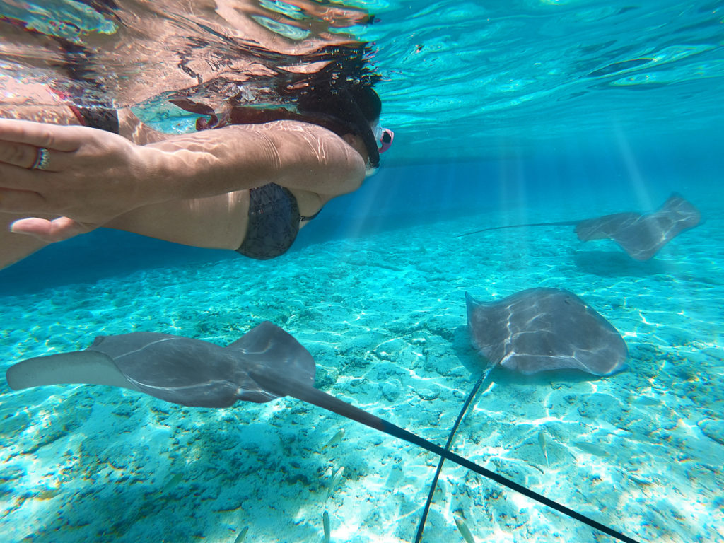 Snorkelling off Bora Bora