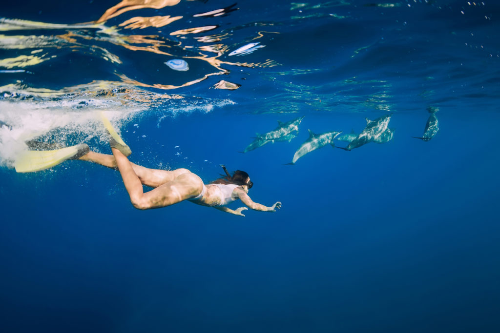 Snorkelling with dolphins off Mauritius