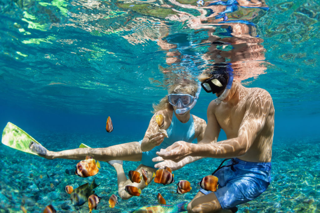 Snorkelling with tropical fish