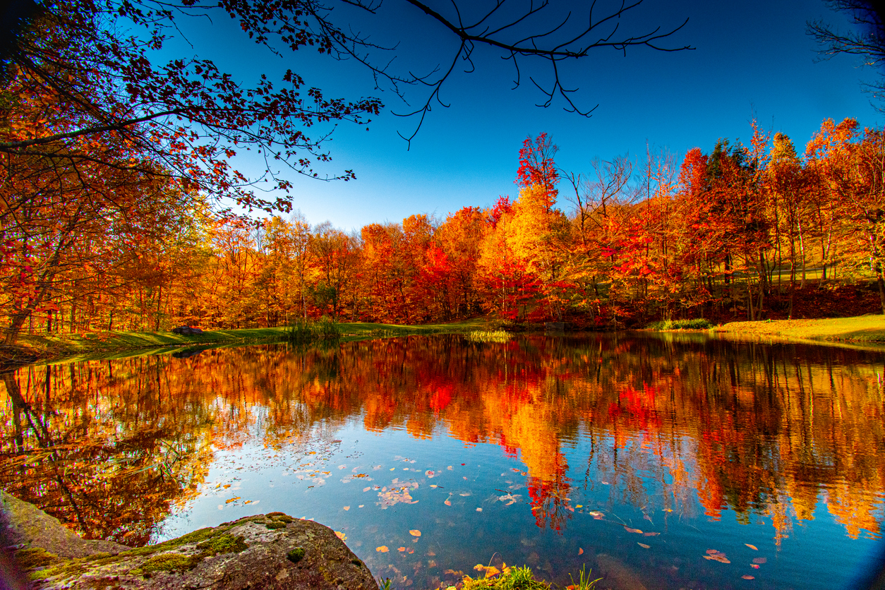 Beautiful fall colours