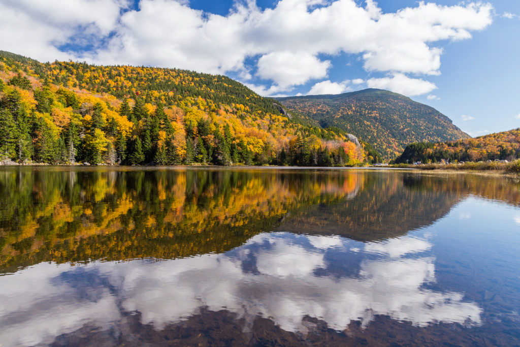 Coloufrul fall landscape in New Hampshire