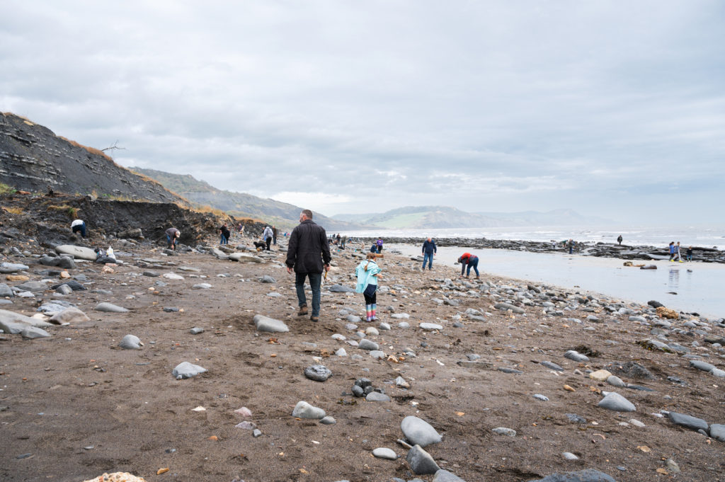 Fossil hunting at Charmouth beach