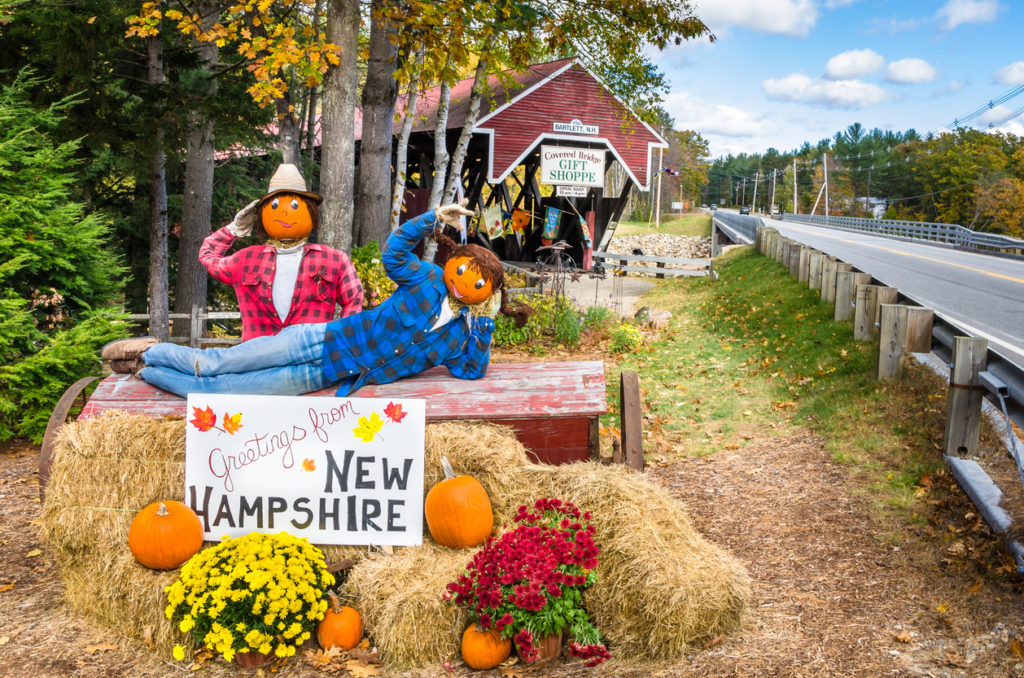 Fun with pumpkins in New Hampshire