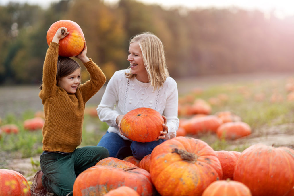 Pumpkin picking at the pumpkin patch