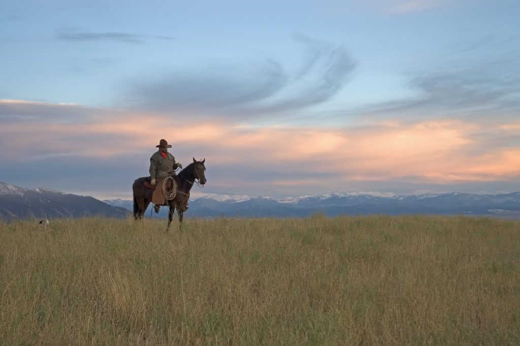 Dawn in Montana