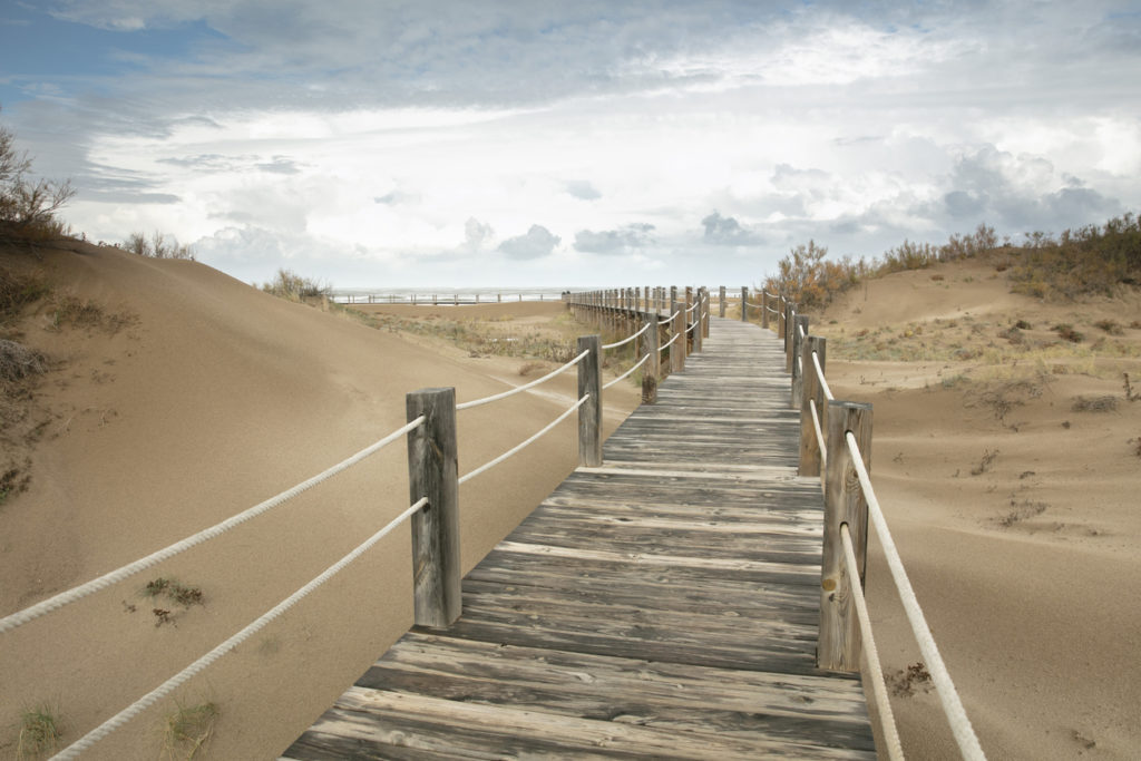 Delta de l'Ebre