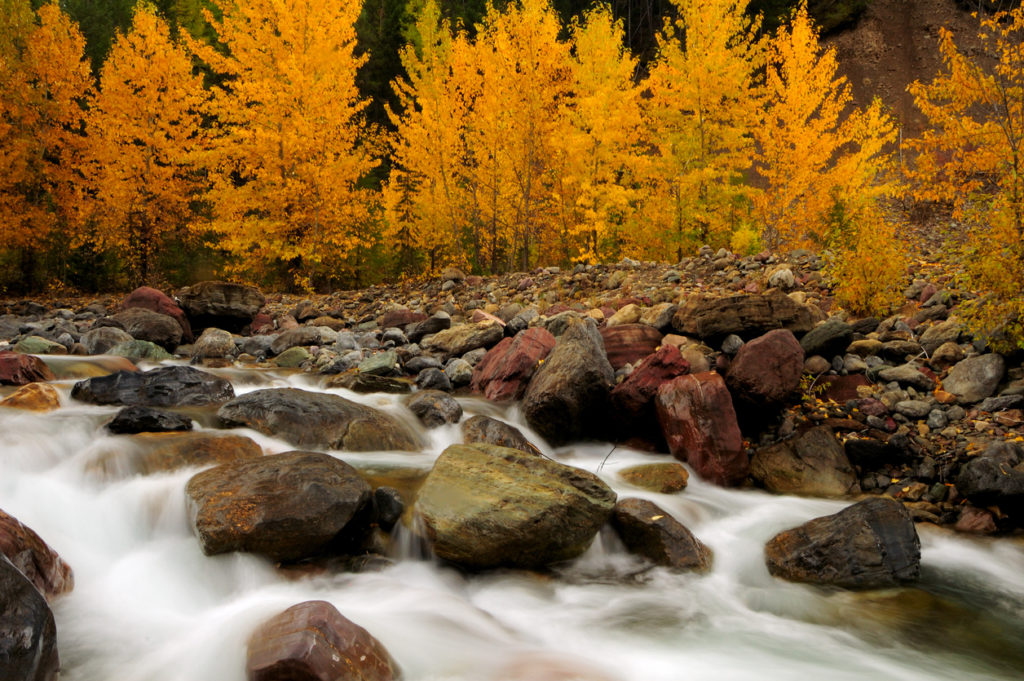 Fall at Glacier National Park