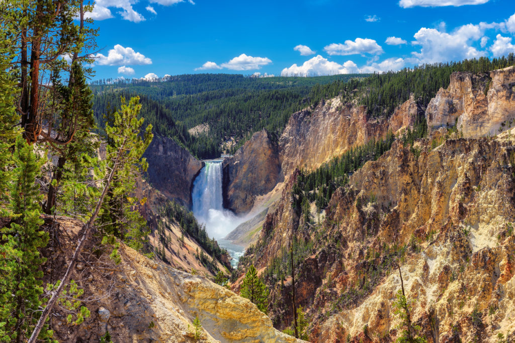Lower falls of the Yellowstone National Park
