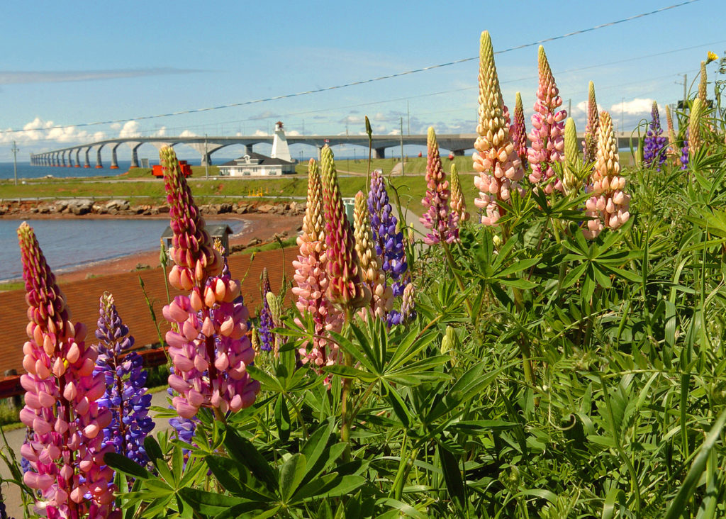 Prince Edward Island
