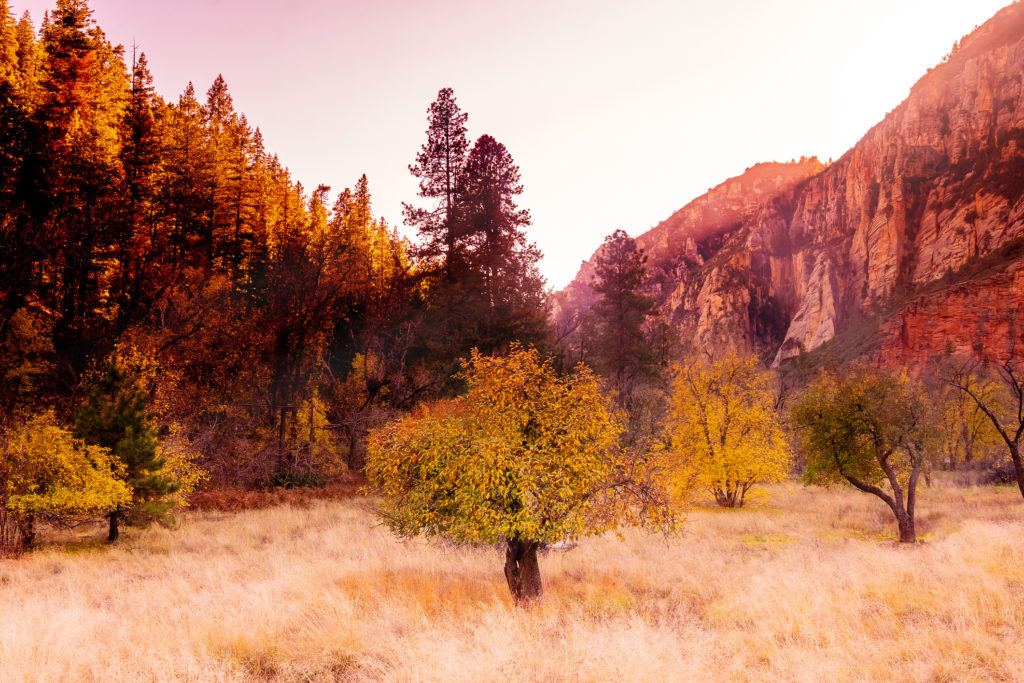 Arizona Fall