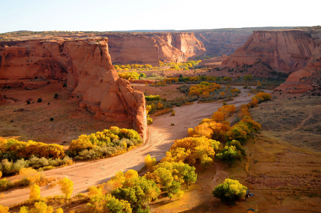 Autumn in Arizona