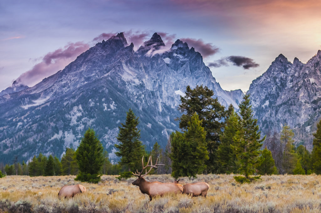 Grand Teton National Park