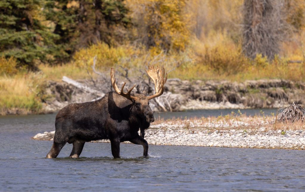 Wyoming