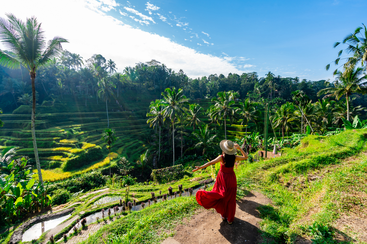 Tegalalang rice terrace in Bali