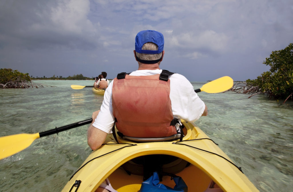 Kayaking through the mangroves