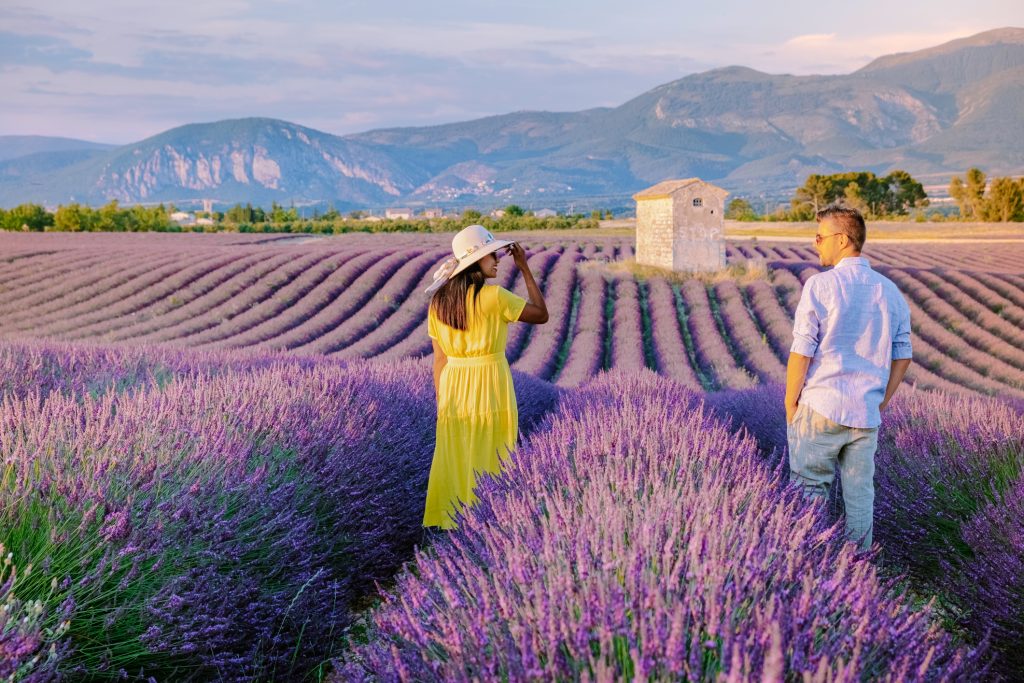 Lavender-Valensole-Plateau