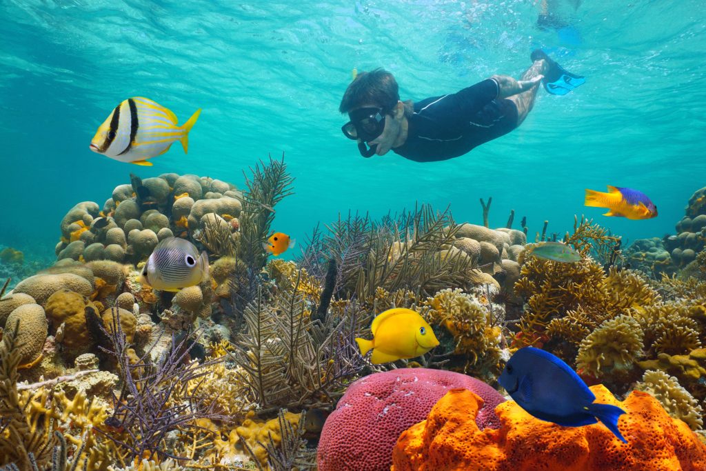 Coral-reef-snorkeling-in-Panama